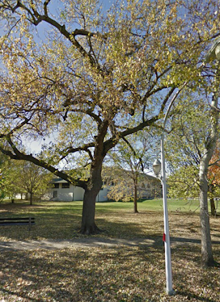 Bessemer Park Public Pool (Outdoor)