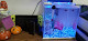 Photo of Zoo-Mechanics, Inc - 811 19th Street, Union City, NJ 07087, USA