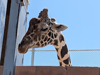 Lion Habitat Ranch inc