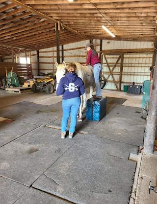 Delmarva Equine Clinic