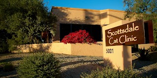 Scottsdale Cat Clinic