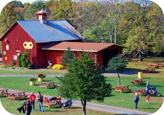 Amazing Farm Fun @ Ticonderoga (Open For Reservations Year Round)