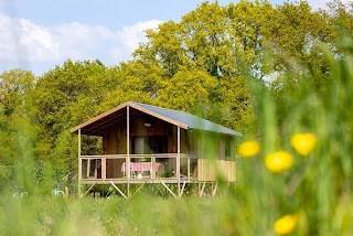 Dihan Evasion - Cabanes dans les arbres en Bretagne