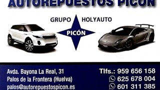 Auto Repuestos Picón