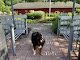 Photo of Grosse Ile Twp Centennial Farms - 25797 3rd Street, Grosse Ile Township, MI 48138, USA