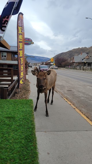 Eddy Out on the Yellowstone Coffee