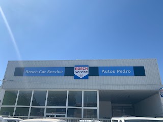 Bosch Car Service Autos Pedro