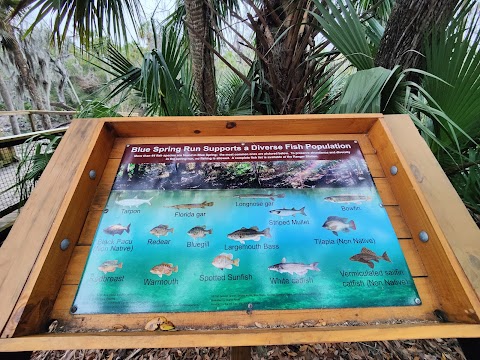 Photo of Blue Spring State Park - FL, USA