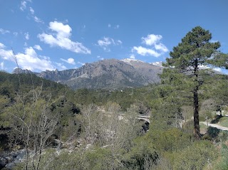 Direction Poste Corse du Sud