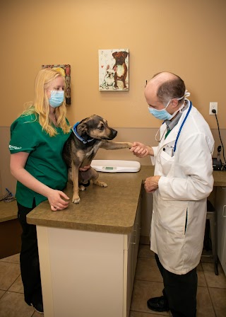 Lake Geneva Animal Hospital