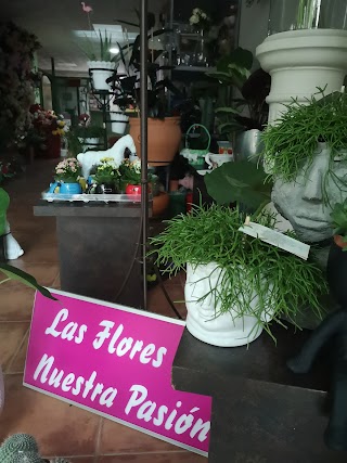 Floristería Marse