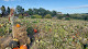 Photo of Wilson's Orchard & Farm - 4823 Dingleberry Road Northeast, Iowa City, IA 52240, USA