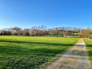 Shaw's Bridge Park