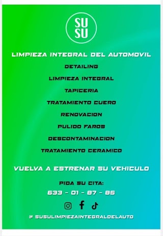 Susu Limpieza Integral del Automóvil