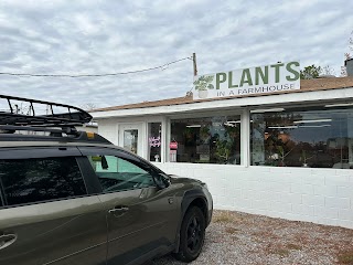 Plants In A Farmhouse