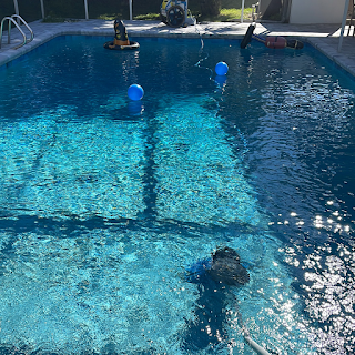 Always Clear Pool Services LLC