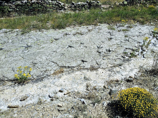 Yacimiento de Icnitas de Fuente Lacorte - El Frontal