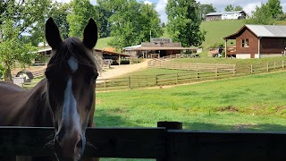 Trackrock Stables