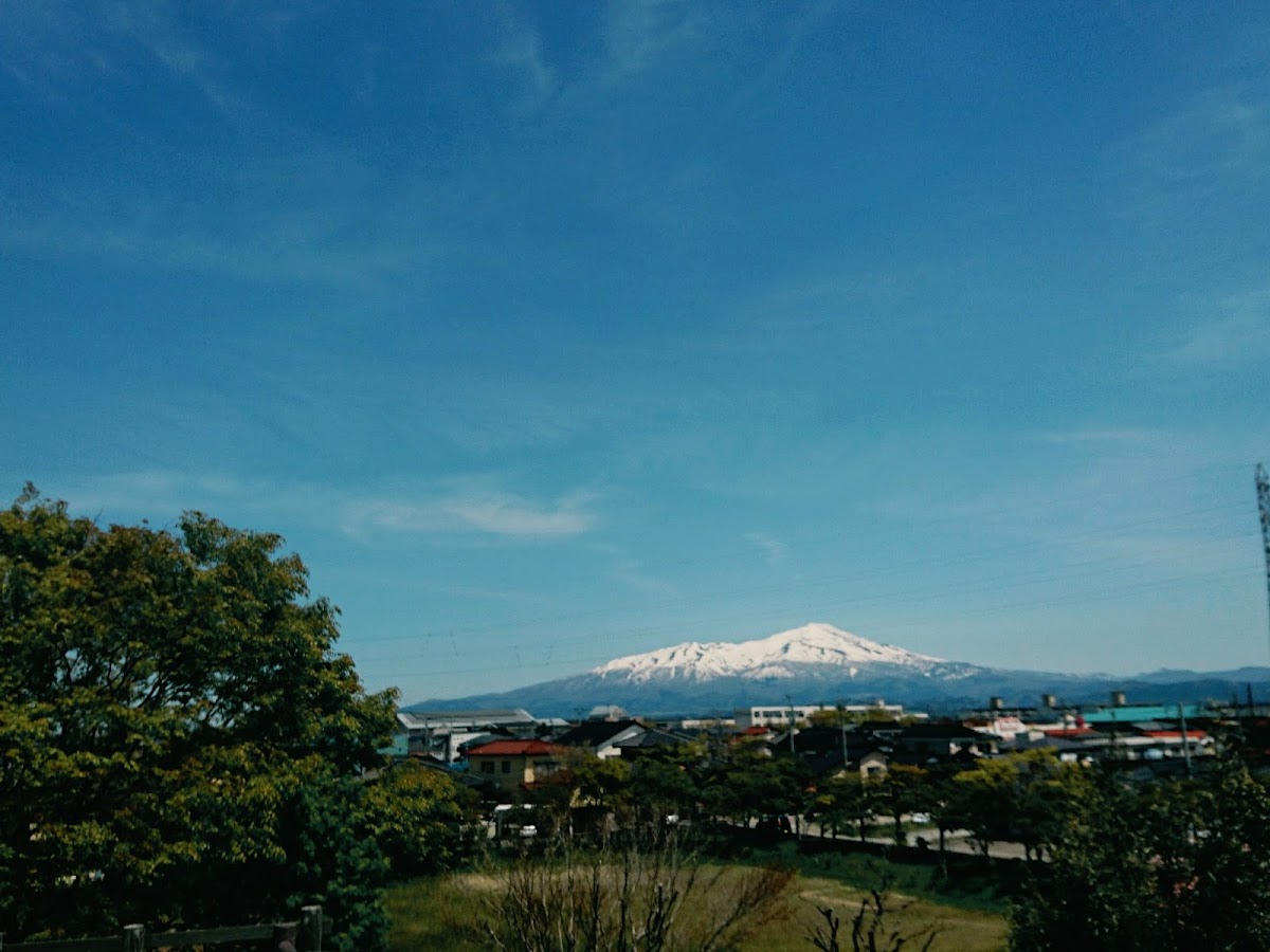 酒田北部公園