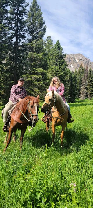 Jackson Hole Outfitters, LLC