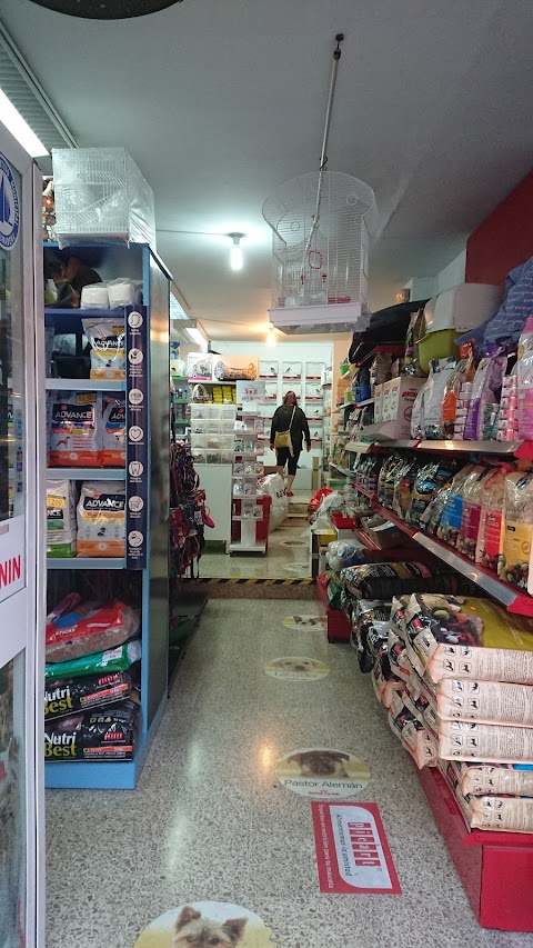 Pet Shop Lanzarote