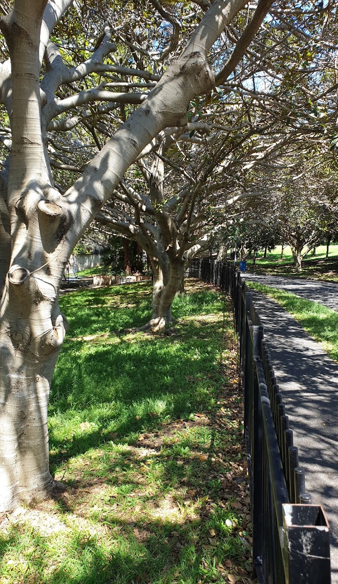 Cook & Philip Park Basketball Court