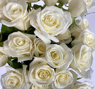 Reno Wholesale Flowers