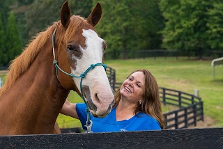 Georgia Equine Veterinary Services and Hospital