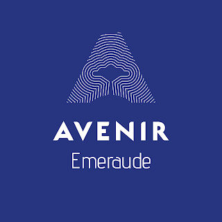 AVENIR Expert Saint-Malo - Conseil et Expertise comptable