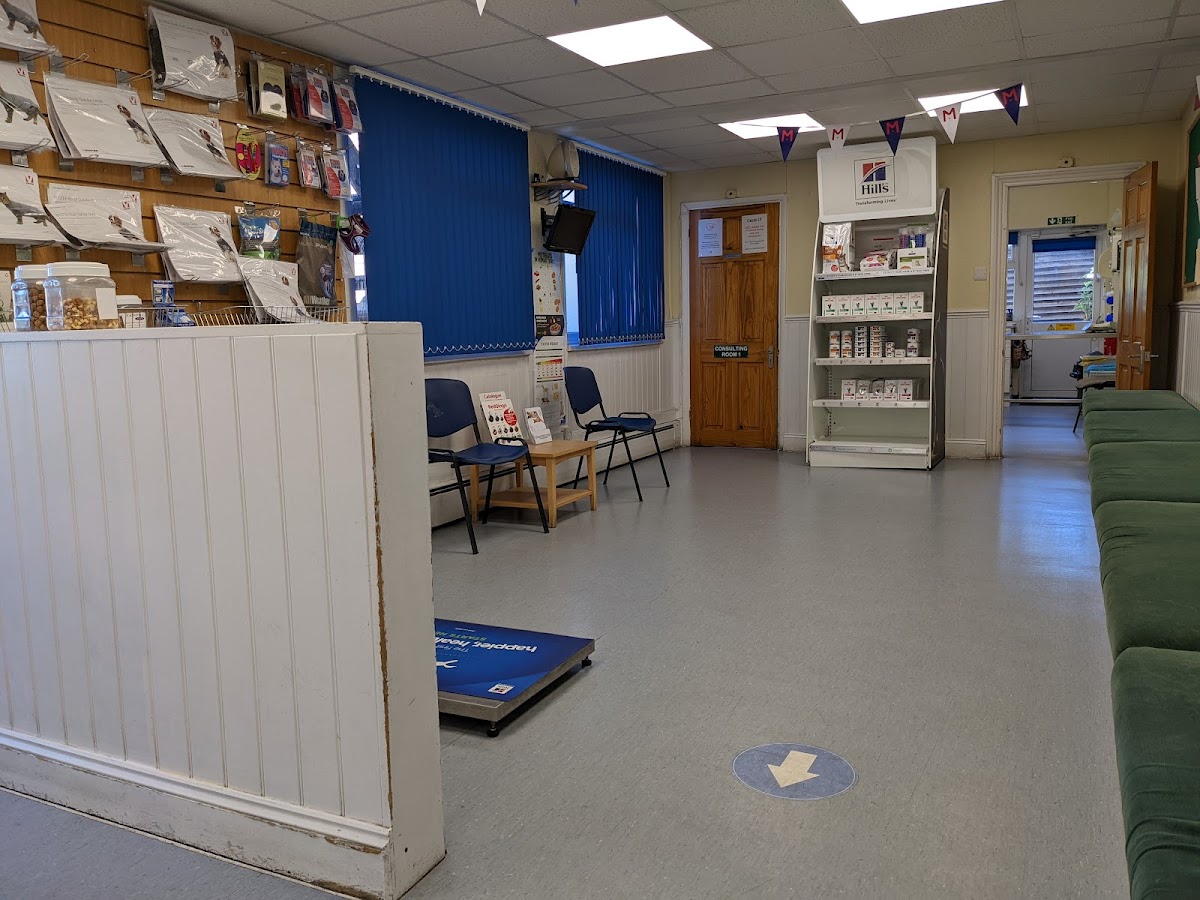 Medivet Welling in 122 Park View Rd, Welling DA16 1SJ, UK - Veterinary Cares featuring 