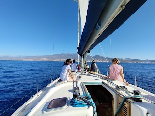 Velero SeaQuestFF - Excursión en Barco por Tenerife