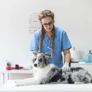 Clínica Veterinaria Mascotas