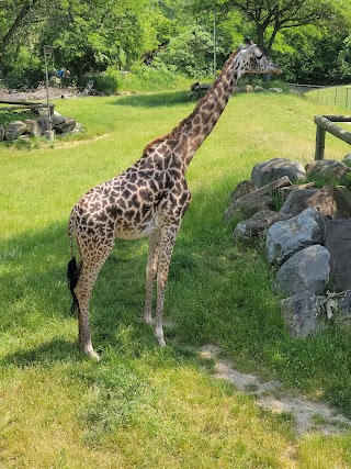 Cleveland Metroparks Zoo