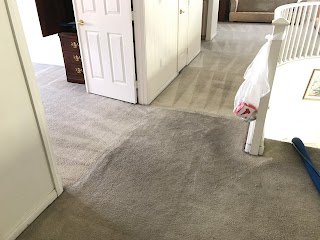 Green Carpet Cleaning