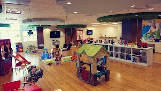 The Children's Assessment Center