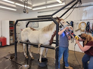 Lewiston Veterinary Clinic