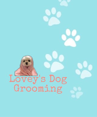 Lovey’s Dog Grooming