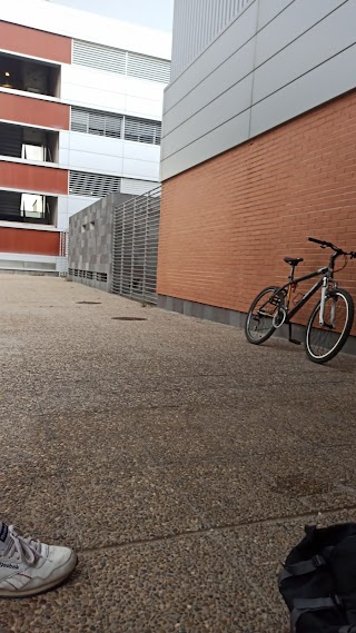 Instituto de Biocomputación y Física de Sistemas Complejos