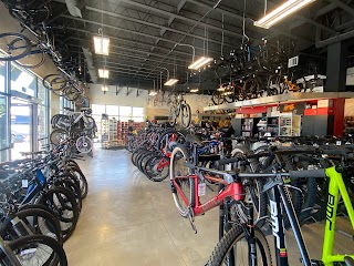 Hangar 15 Bicycles-Lehi