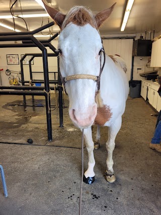 Lewiston Veterinary Clinic