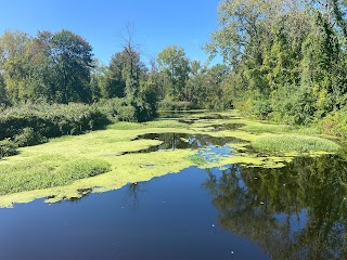 Ridgefield Parks & Recreation