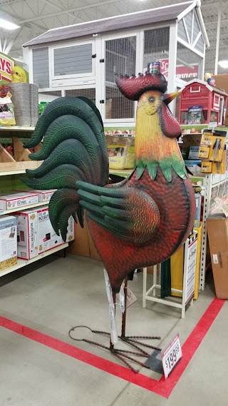 Tractor Supply Co.