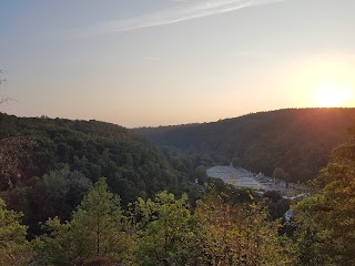 Alte Papierfabrik Greiz e.V.