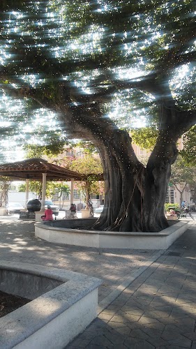 Lake Worth Cultural Plaza