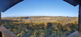 Observatorio de pájaros