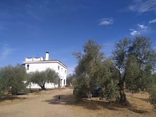 Casa Halcon