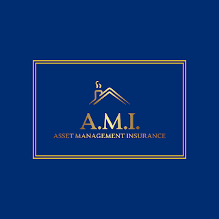 AMI Asset Management Insurance