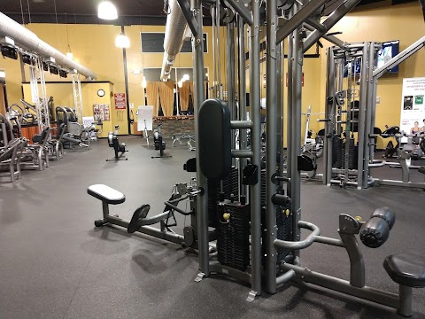 The Zoo Health Club, Bedford NH