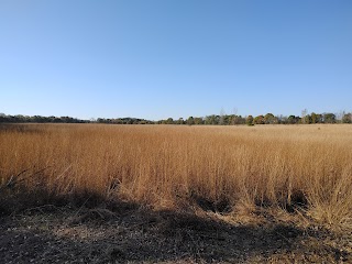 Boot Lake Nature Preserve