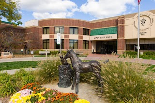 Colorado State University Veterinary Teaching Hospital